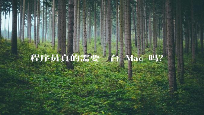 程序员真的需要一台 Mac 吗？