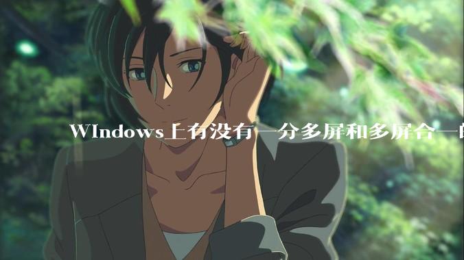 Windows上有没有一分多屏和多屏合一的软件？
