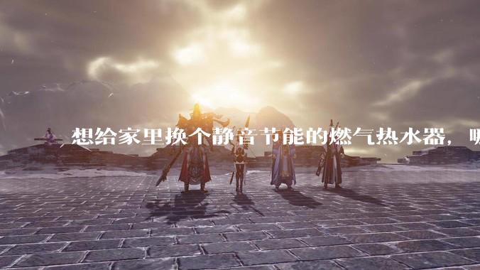 想给家里换个静音节能的燃气热水器，哪个品牌比较好？