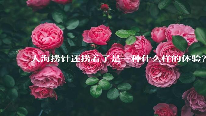 大海捞针还捞着了是一种什么样的体验？