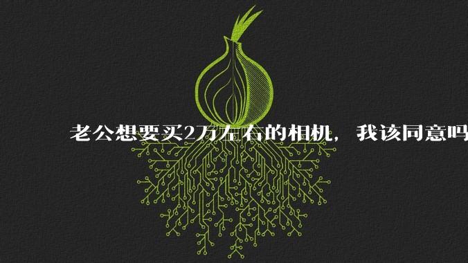 老公想要买2万左右的相机，我该同意吗？