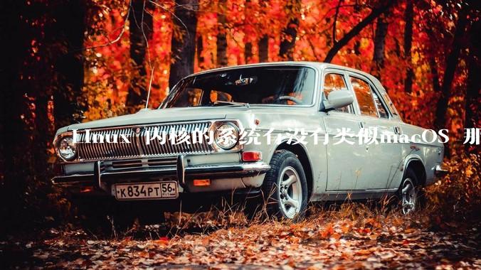 Linux 内核的系统有没有类似macOS 那样漂亮流畅的桌面环境的发行版本?