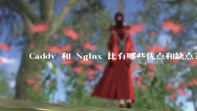 Caddy 和 Nginx 比有哪些优点和缺点？