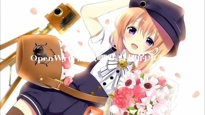 OpenWrt 能做哪些有趣的事？