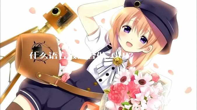 什么语言最适合做 GUI？