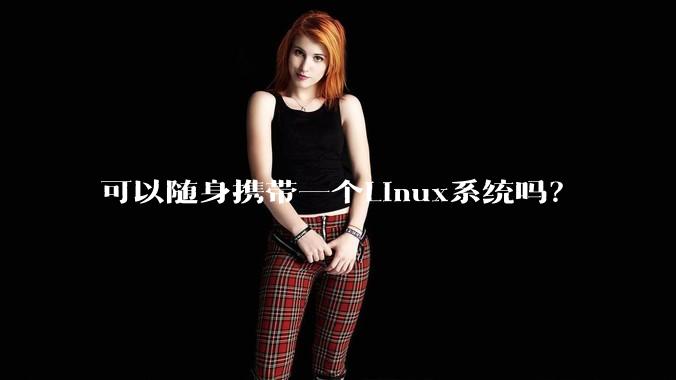 可以随身携带一个Linux系统吗？