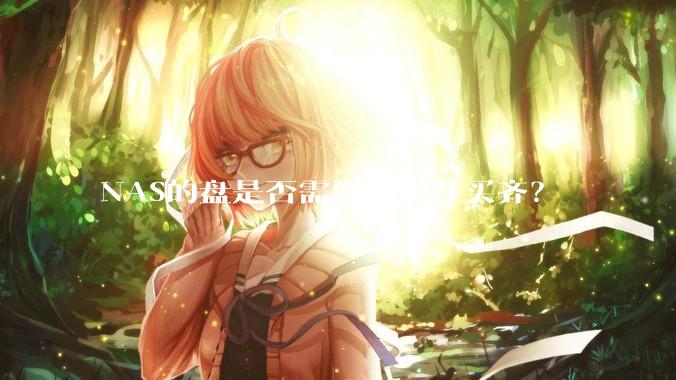 NAS的盘是否需要一次性买齐？