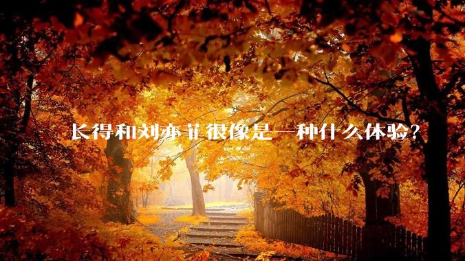 长得和刘亦菲很像是一种什么体验？